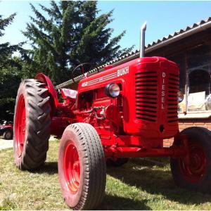 Bukh 452 tractor - image #2