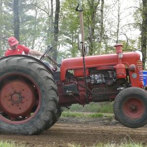 Bukh 554 tractor - image #2